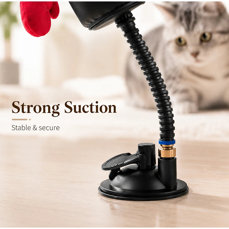 Jouet Boxe Interactif pour Chat