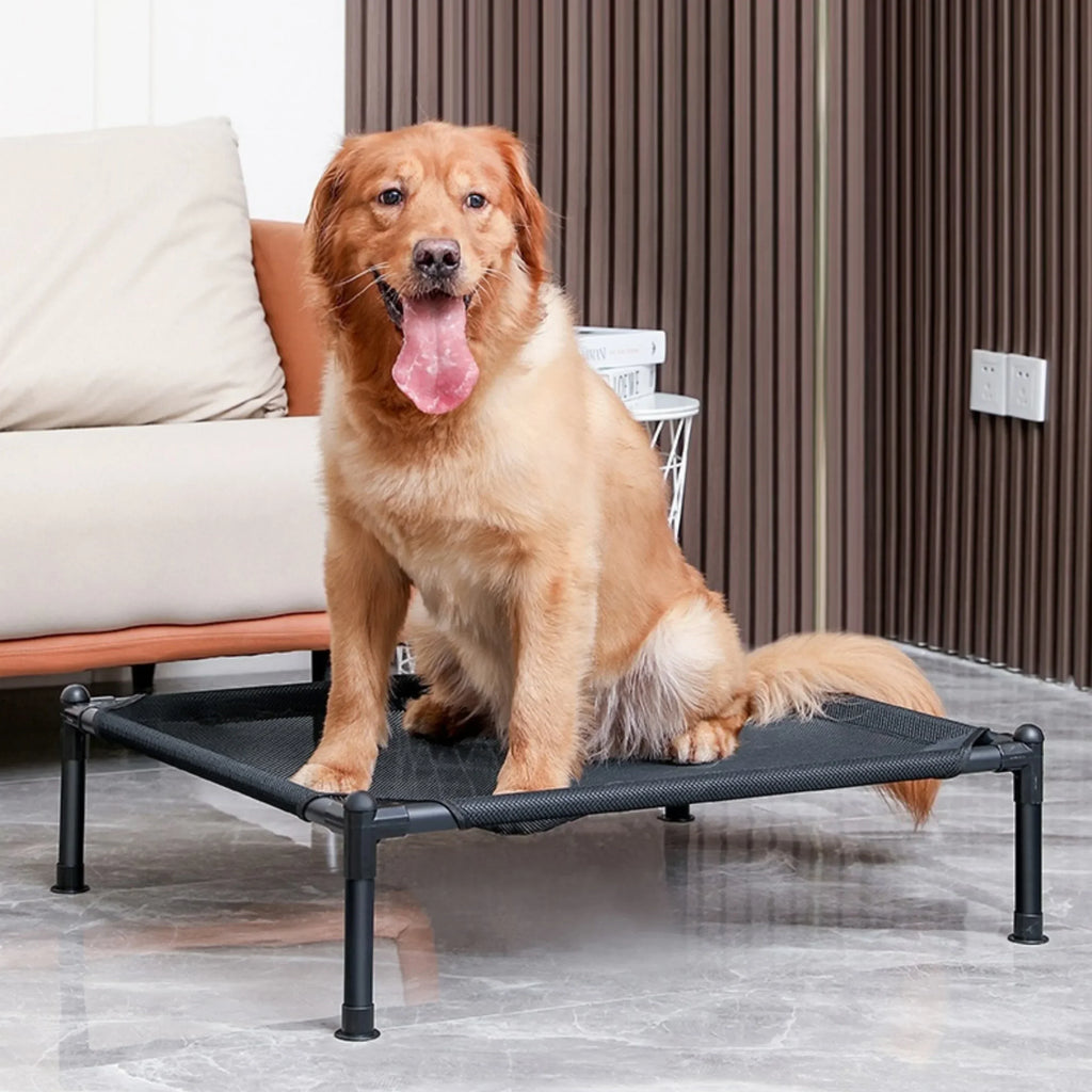 Lit Surélevé Pliable pour Chien et Chat