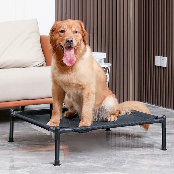 Lit Surélevé Pliable pour Chien et Chat