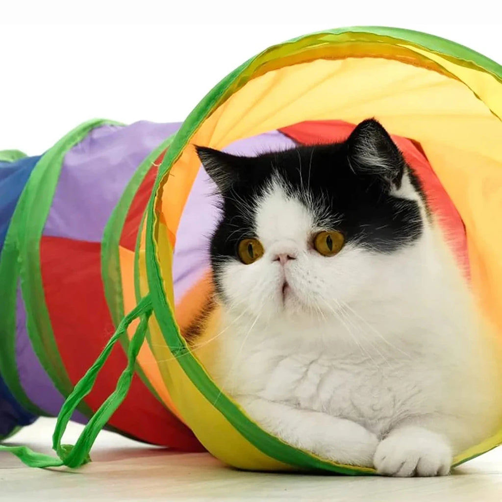 Tube Tunnel Pliable d'Entraînement pour Chat