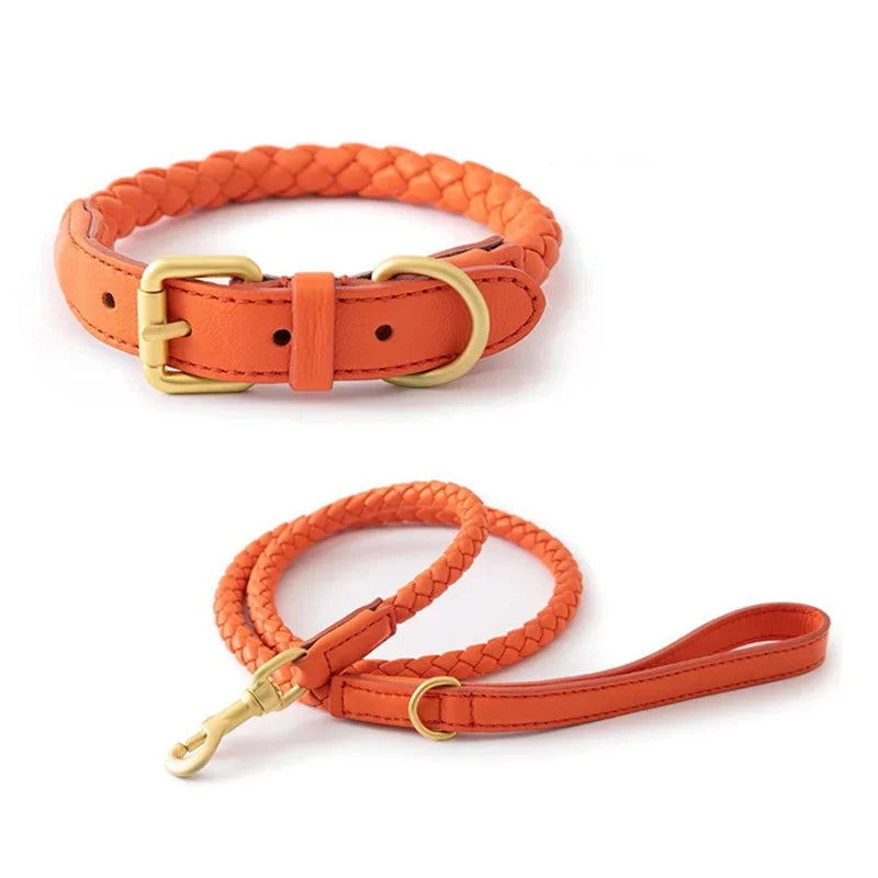 Collier en Cuir Fashion pour Chien Moyen