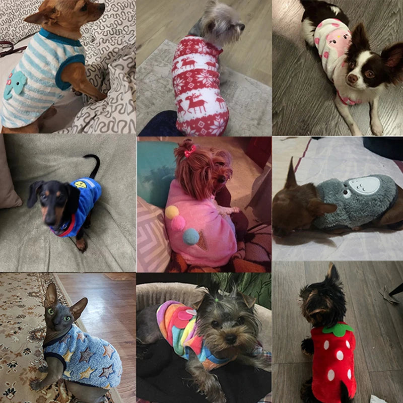 Doudoune d'Hiver pour Chien et Chat