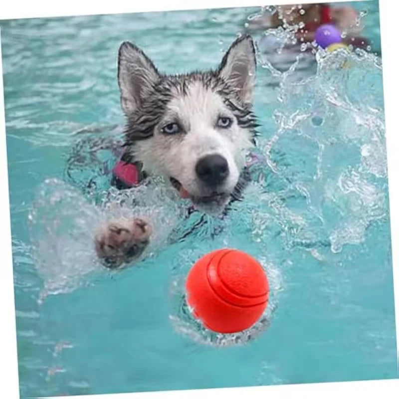 Balle Rebondissante Indestructible pour Chien
