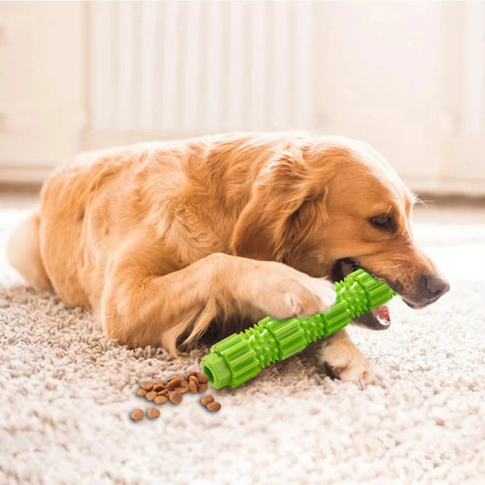 Jouet Distributeur de Friandises Indestructible pour Chien