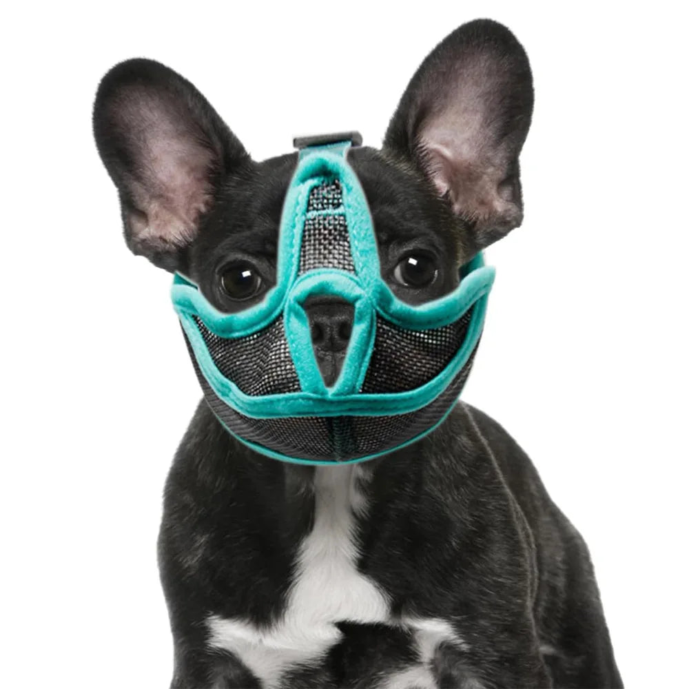 Muselière Ajustable en Maille pour Bouledogue