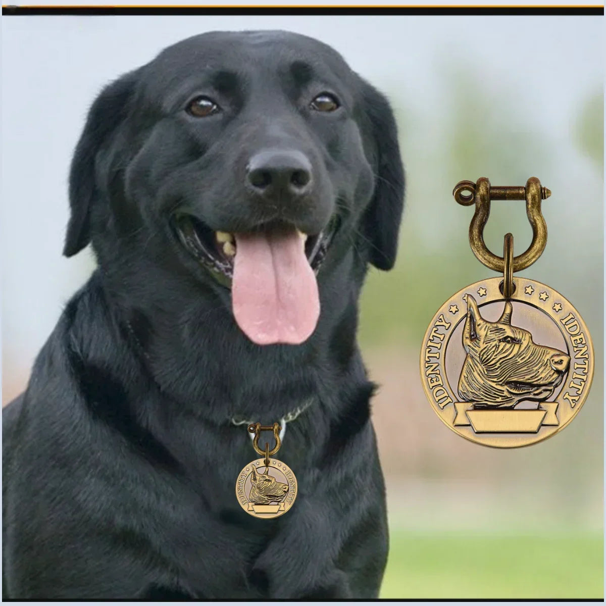 Médaille d'Identification Gravée pour Chien et Chat - Plaque Bronze Personnalisée