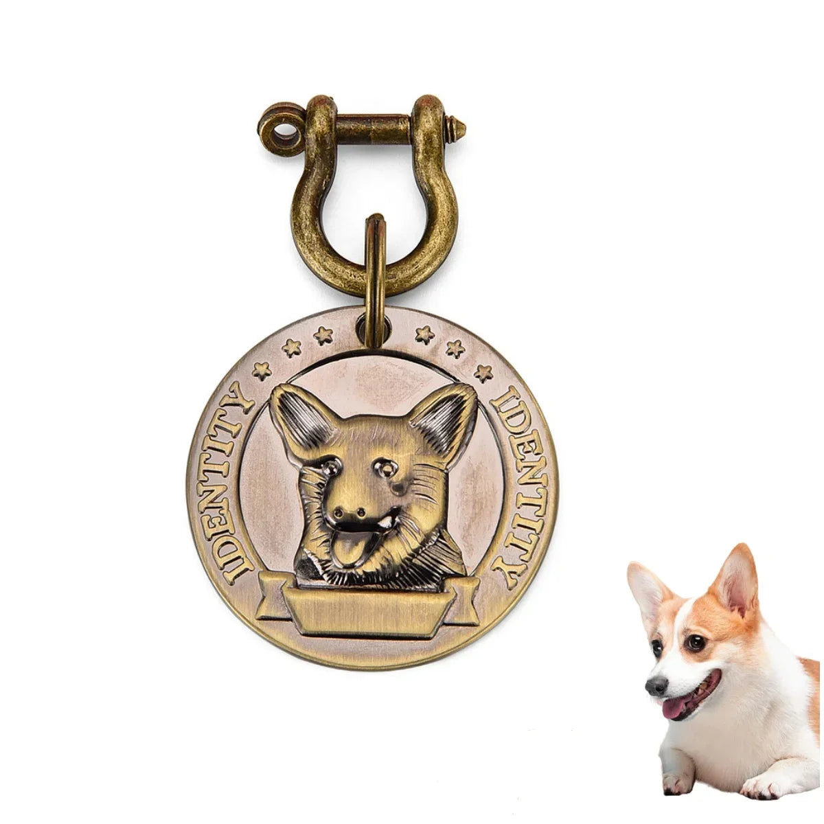 Médaille d'Identification Gravée pour Chien et Chat - Plaque Bronze Personnalisée