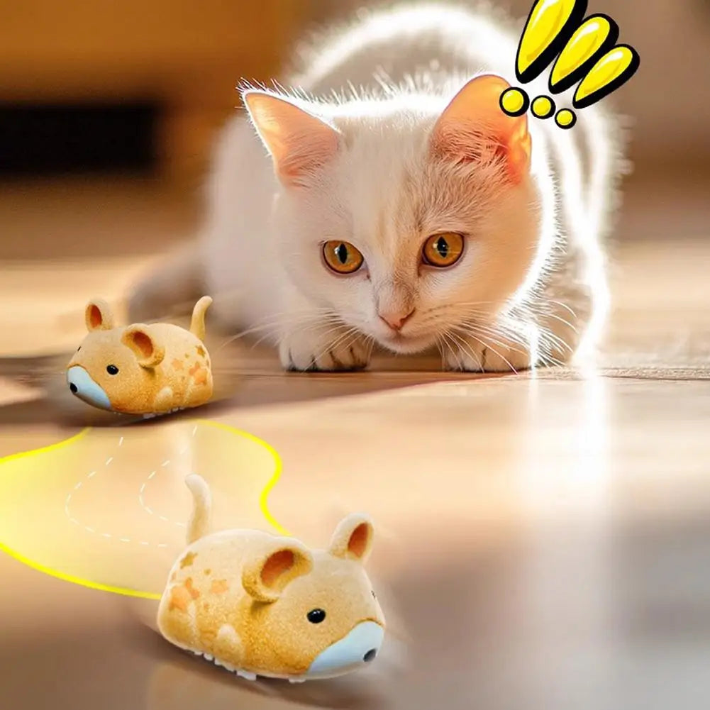 Souris Vibrante Automatique pour Chat