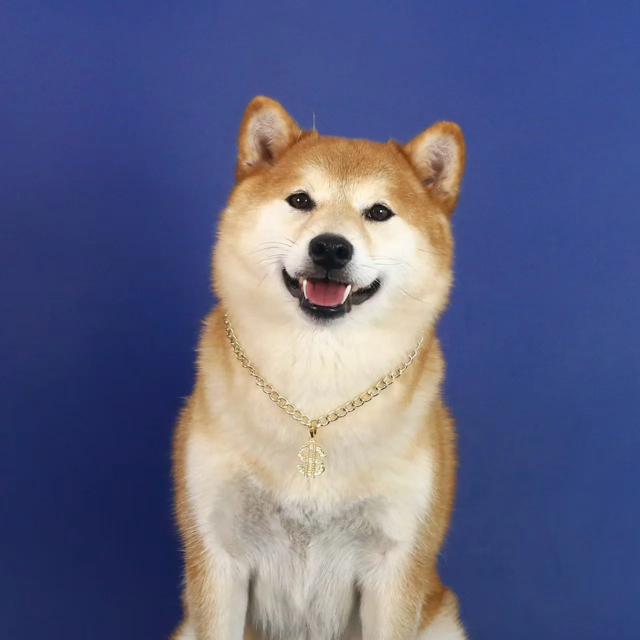 Collier Fantaisie Strass Doré pour Chien et Chat - Réglable
