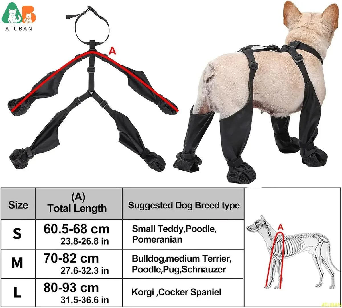 Chaussures Antidérapantes Imperméables pour Chien