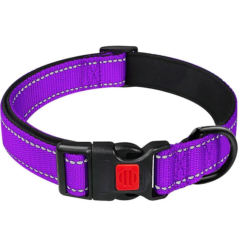 Collier Réfléchissant Néoprène pour Chien