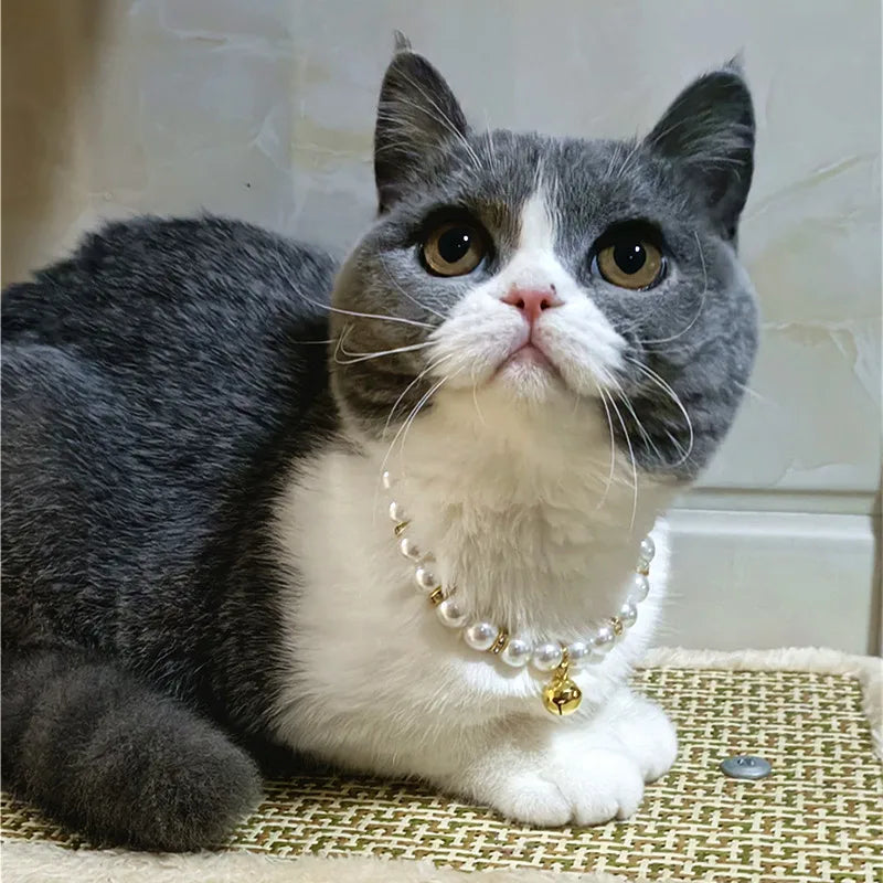 Collier Perles avec Grelot Doré et Ruban Noir pour Chien et Chat