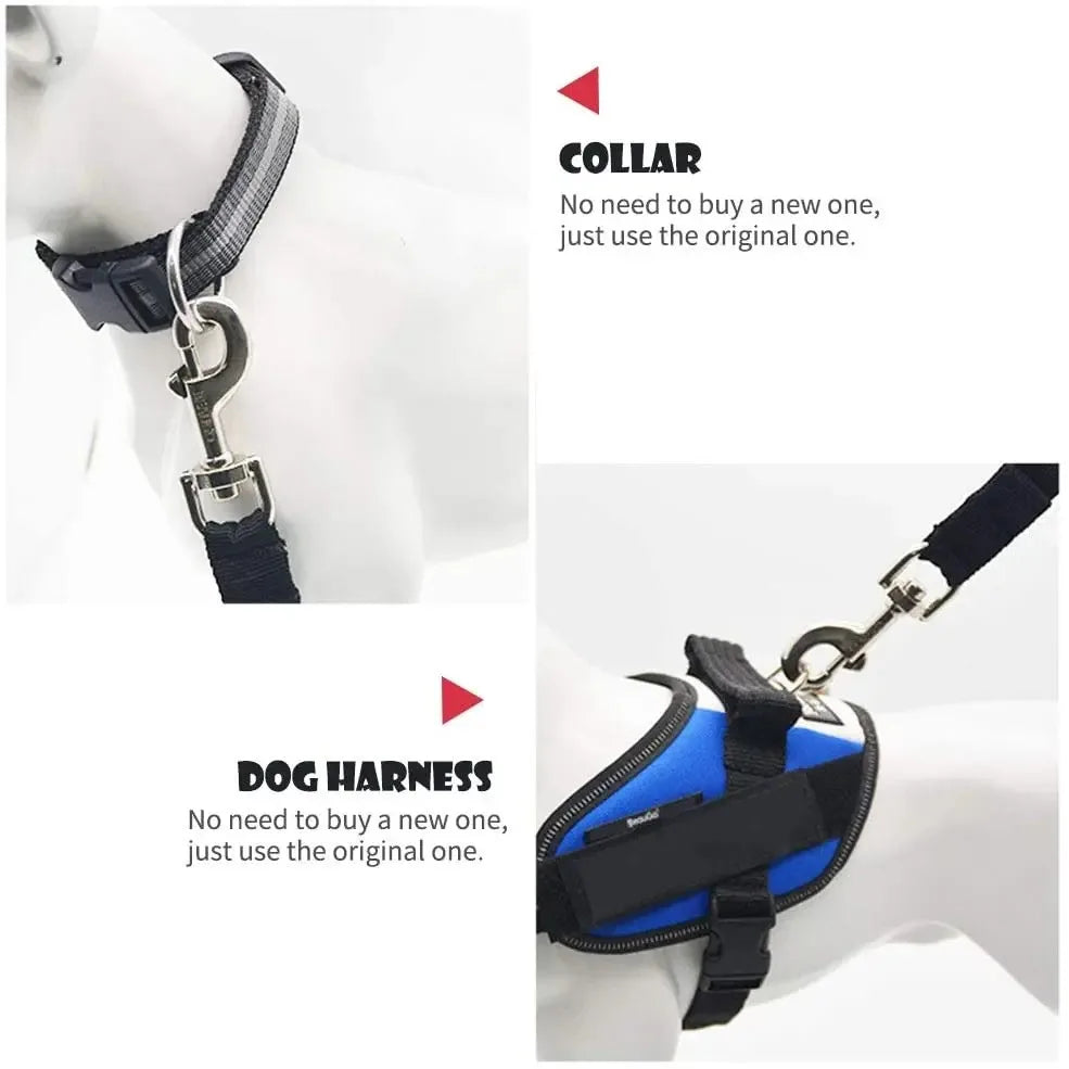 Ceinture de Sécurité Voiture Réglable pour Chien