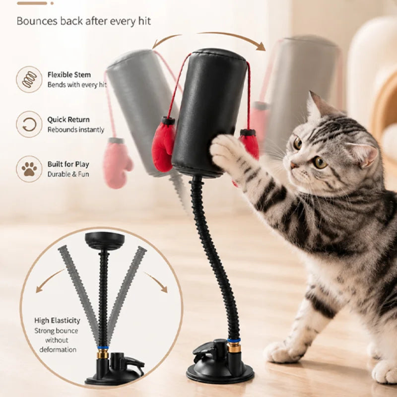 Jouet Boxe Interactif pour Chat
