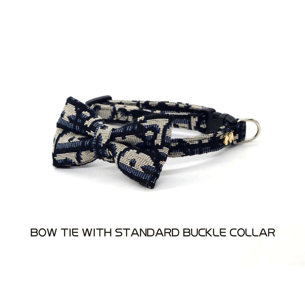 Collier Détachable et Laisse pour Chat et Chien