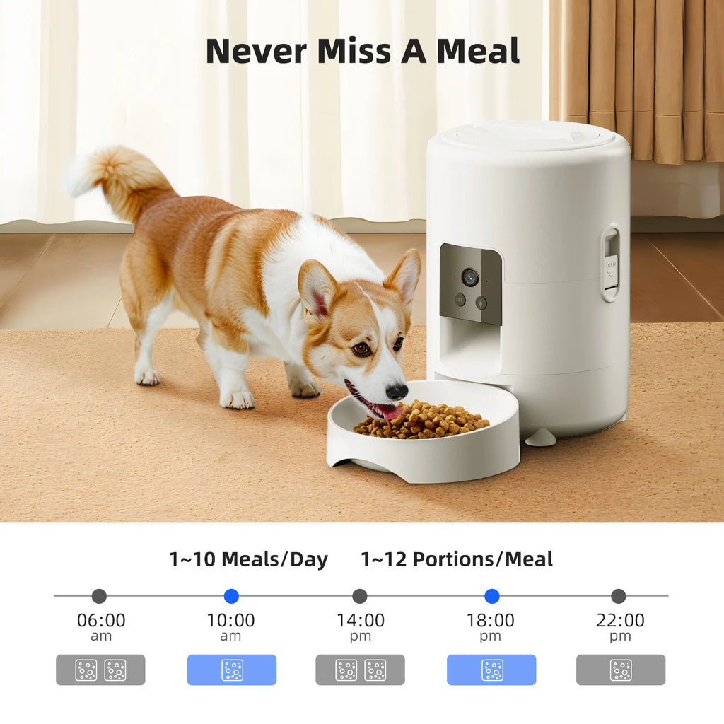 Distributeur Automatique de Croquettes Intelligent pour Chat