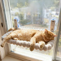Hamac de Fenêtre pour Chat - Ventouses Renforcées