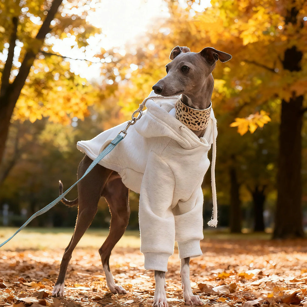 Pull à Capuche Chaud pour Chien