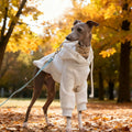 Pull à Capuche Chaud pour Chien