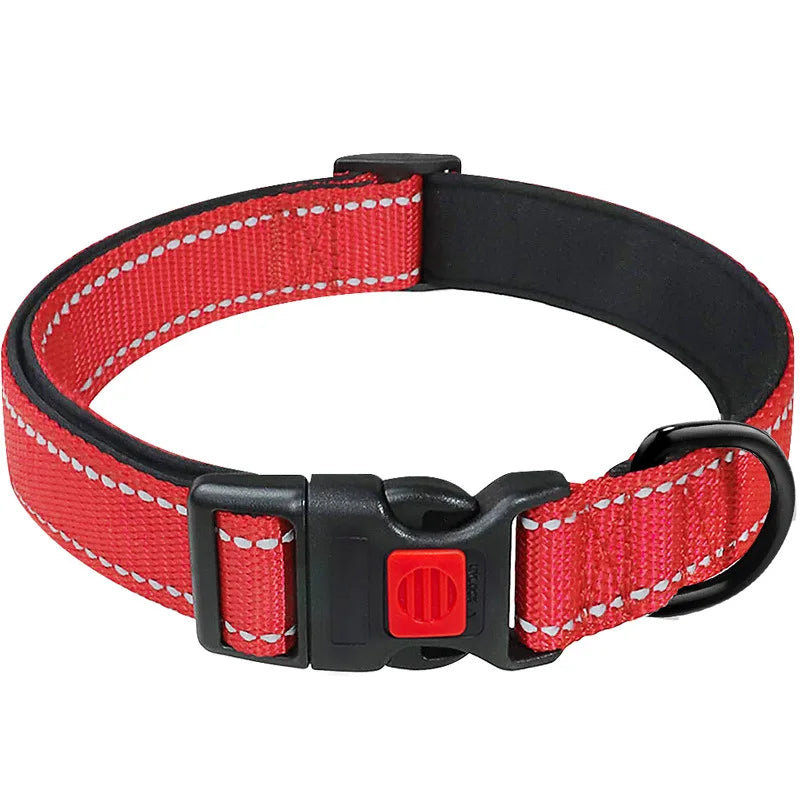 Collier Réfléchissant Néoprène pour Chien