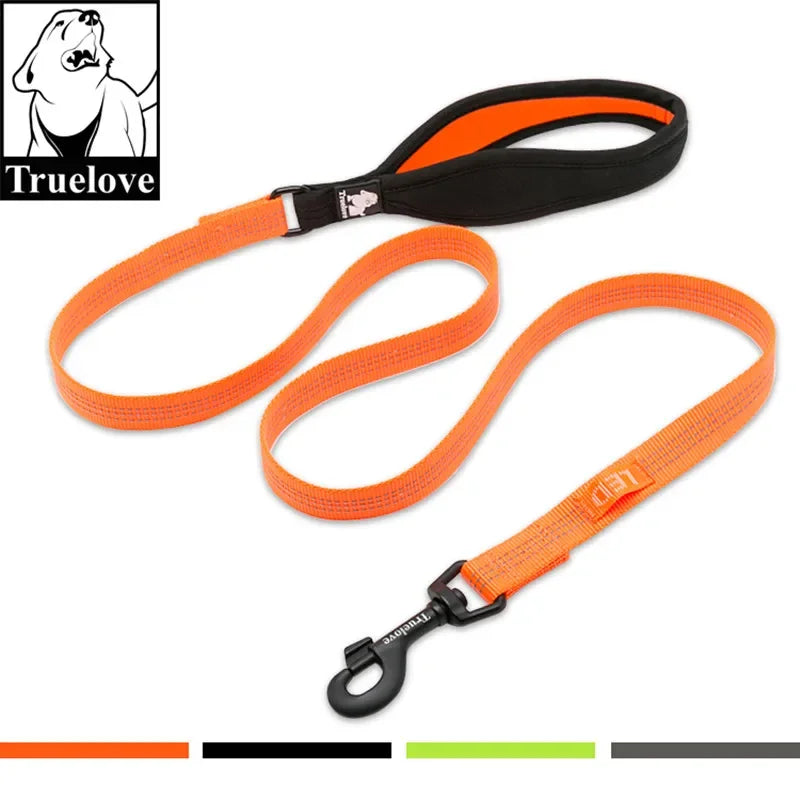Laisse Réfléchissante Nylon Renforcée pour Chien