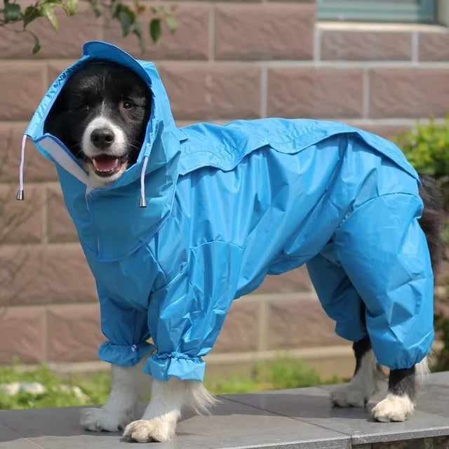 Manteau de Pluie à Capuche pour Chien