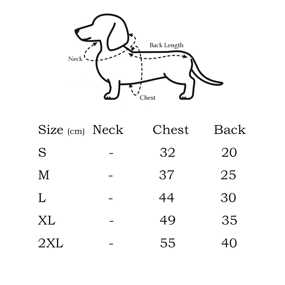 Pull Tricoté pour Chien - Teckel &amp; Petites Races