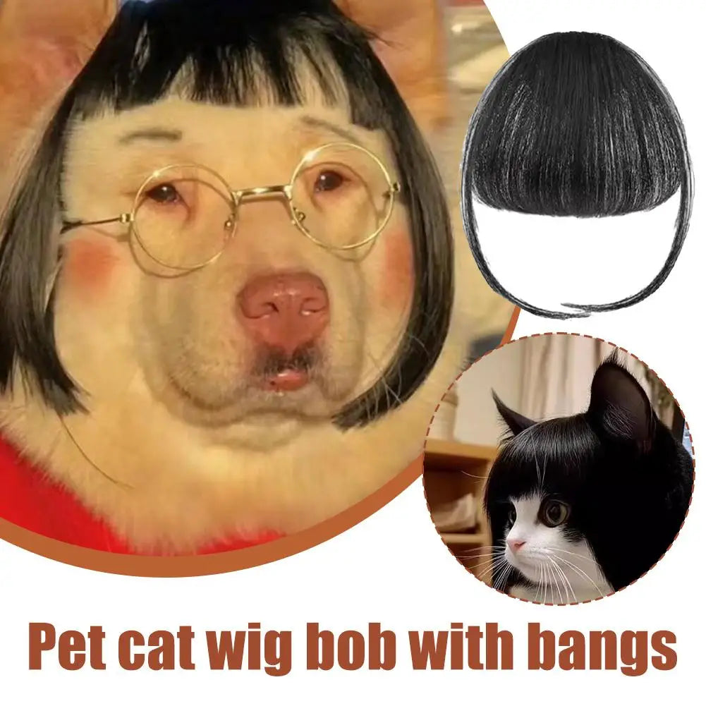 Perruque Déguisement Cosplay pour Chien et Chat