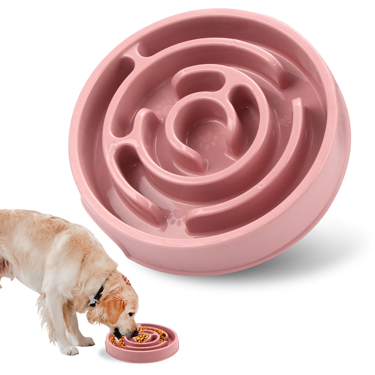 Gamelle Anti-Glouton Ludique pour Chien - Antidérapante