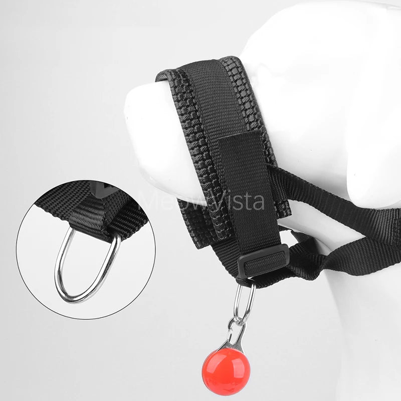 Muselière Ajustable Rembourrée pour Chien