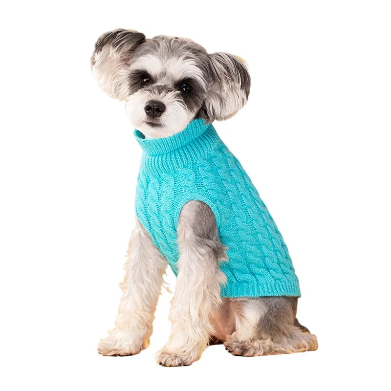 Pull Torsadé Chaud pour Petit Chien