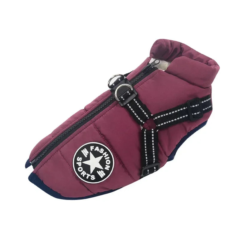 Manteau d'Hiver Imperméable pour Chien
