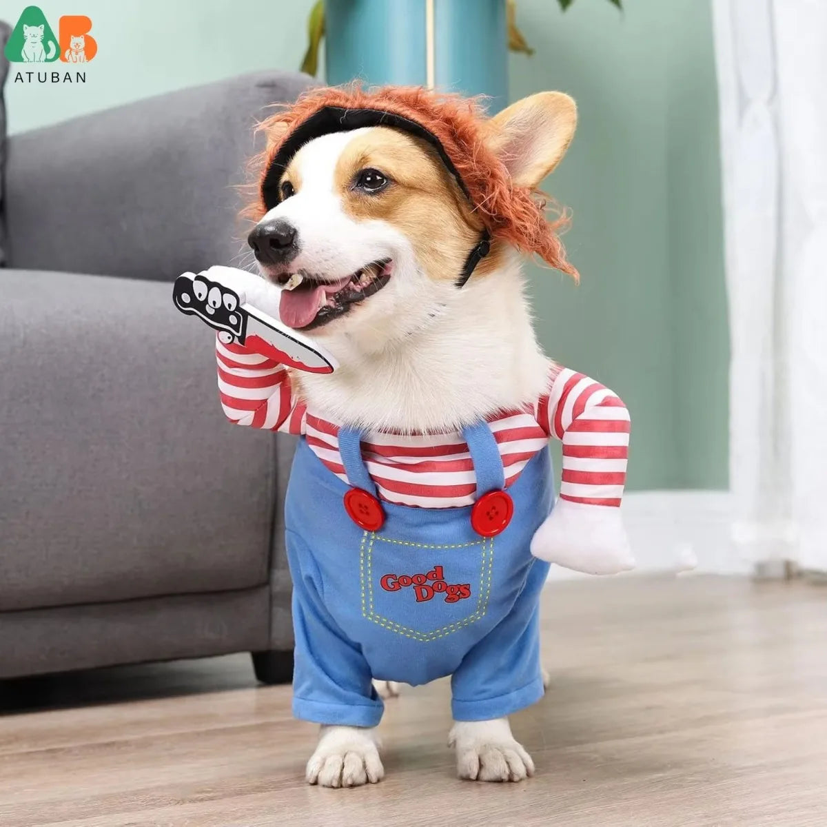 Déguisement Rigolo pour Chien - Costume de Fête Halloween/Noël