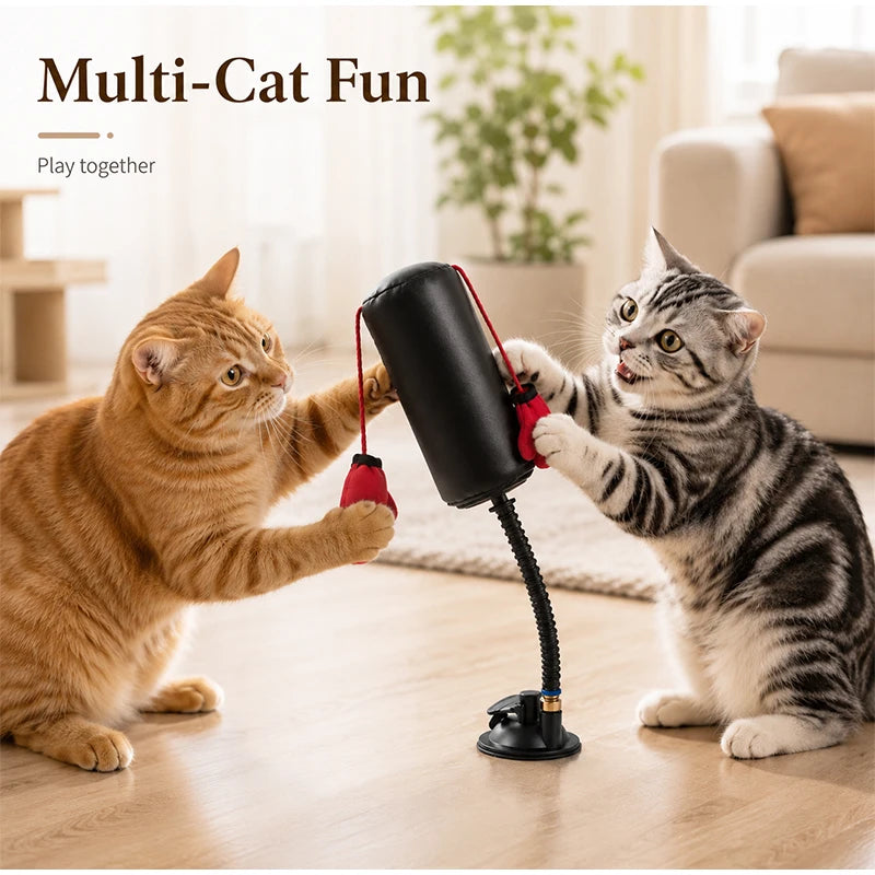 Jouet Boxe Interactif pour Chat