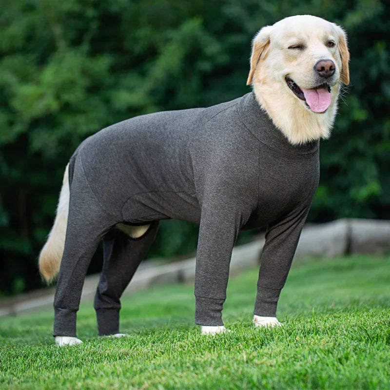 Pyjama Combinaison pour Chien - Motifs Rigolos