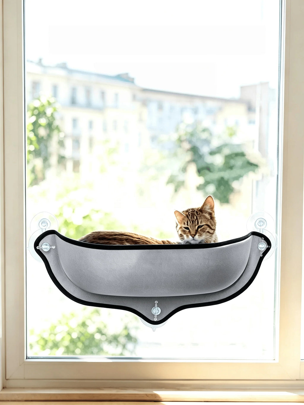 Perchoir Hamac de Fenêtre pour Chat - Ventouses Renforcées
