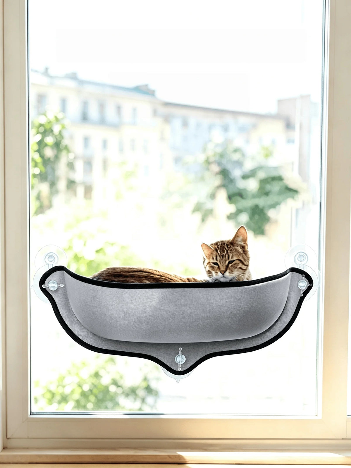 Perchoir Hamac de Fenêtre pour Chat - Ventouses Renforcées