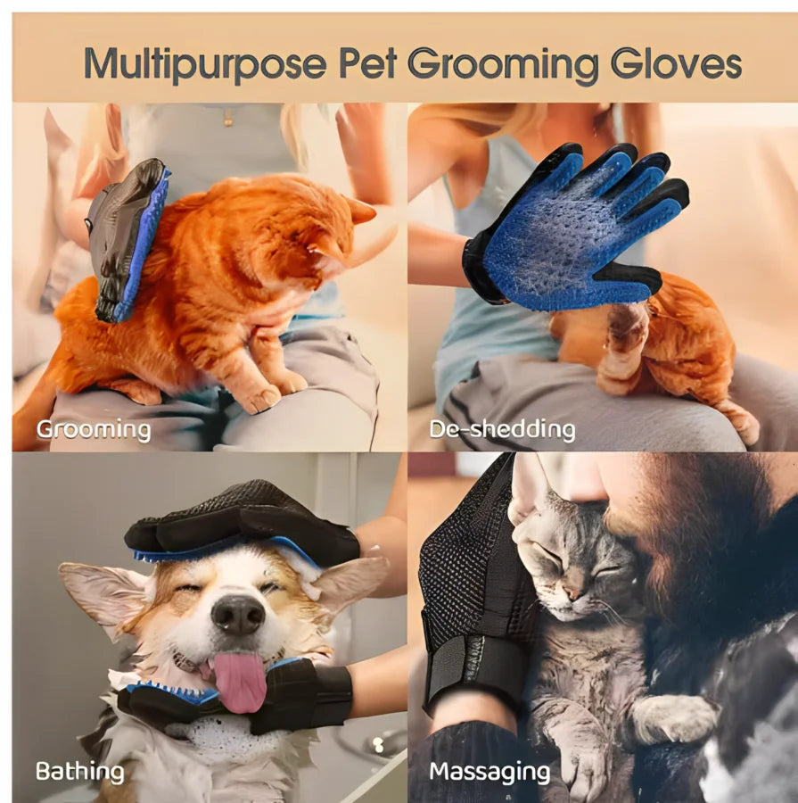 Gant de Toilettage Anti-Poils pour Chien et Chat - Grand Choix de Couleurs