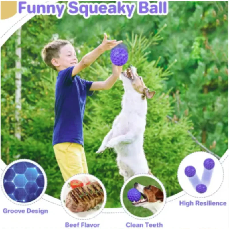 Balle à Mâcher Indestructible en Caoutchouc pour Chien
