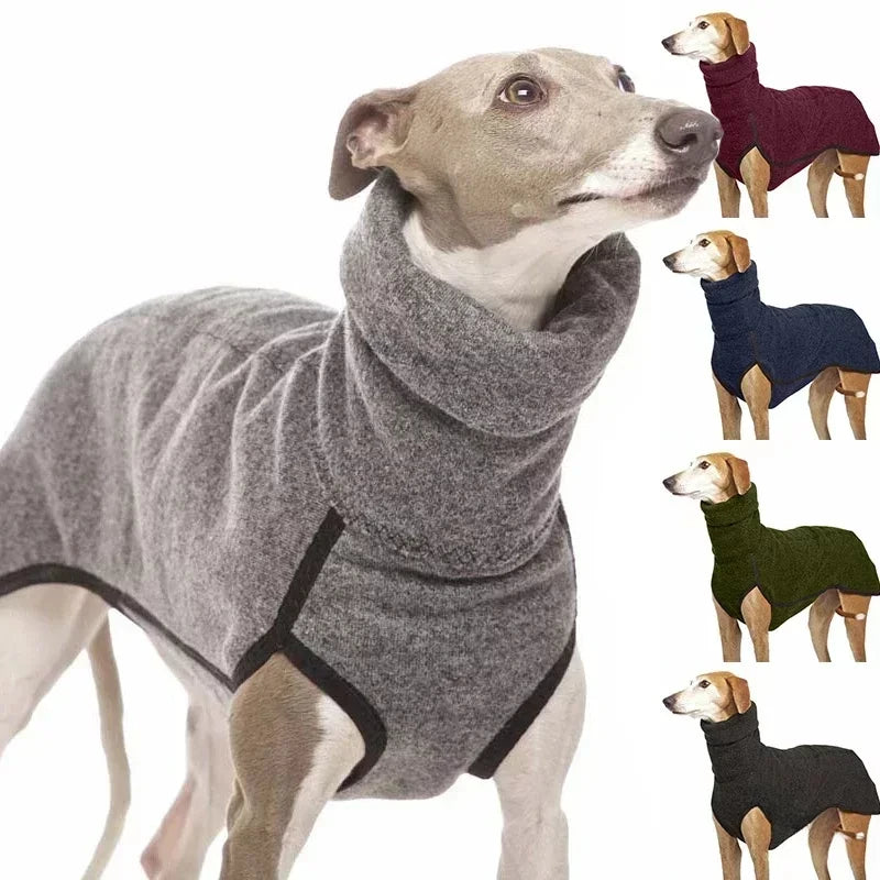 Pull Col Roulé Chaud pour Chien