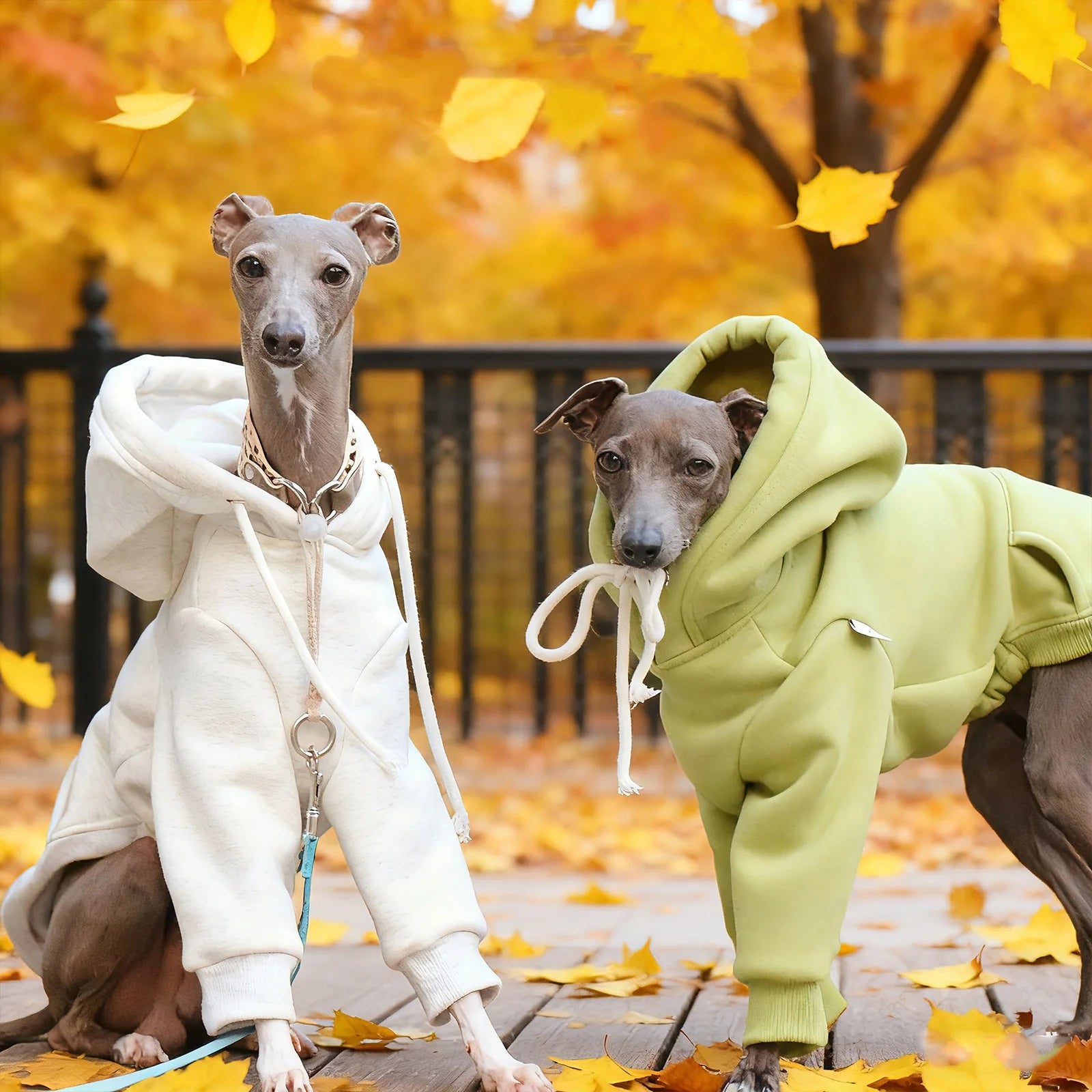 Pull à Capuche Chaud pour Chien