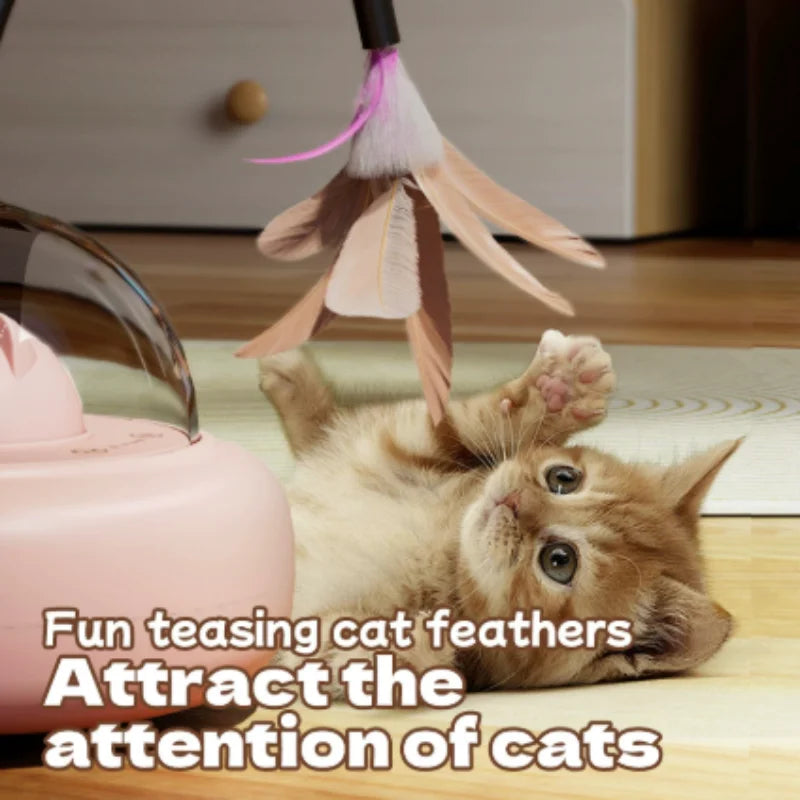 Canne à Pêche Électrique Rechargeable pour Chat