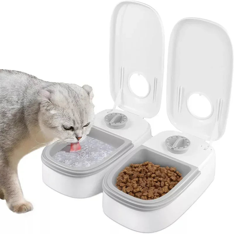 Distributeur Gravité Croquettes et Eau pour Chien et Chat