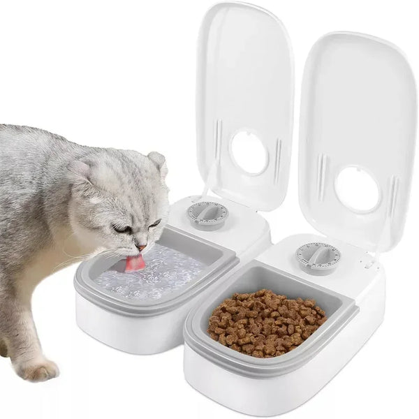 Distributeur Gravité Croquettes et Eau pour Chien et Chat