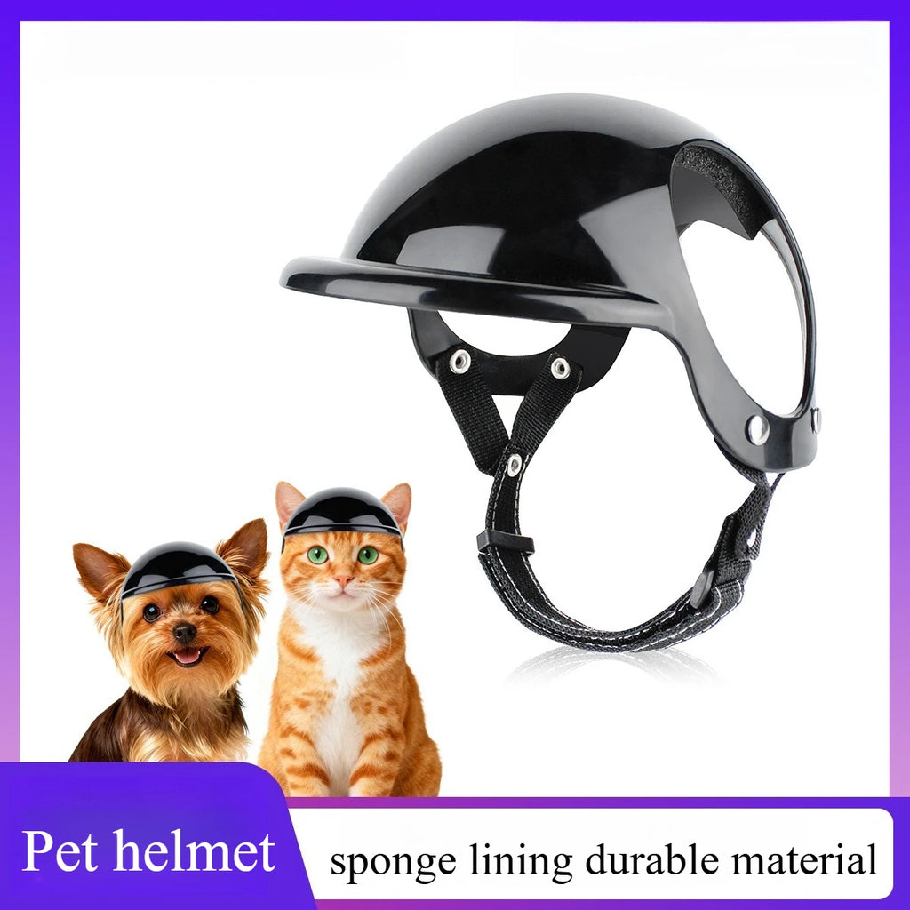 Casque de Moto et Lunettes de Protection pour Chien et Chat