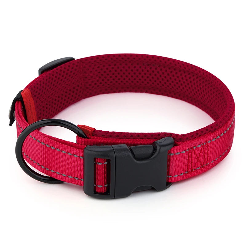 Collier Réfléchissant Ajustable pour Chien
