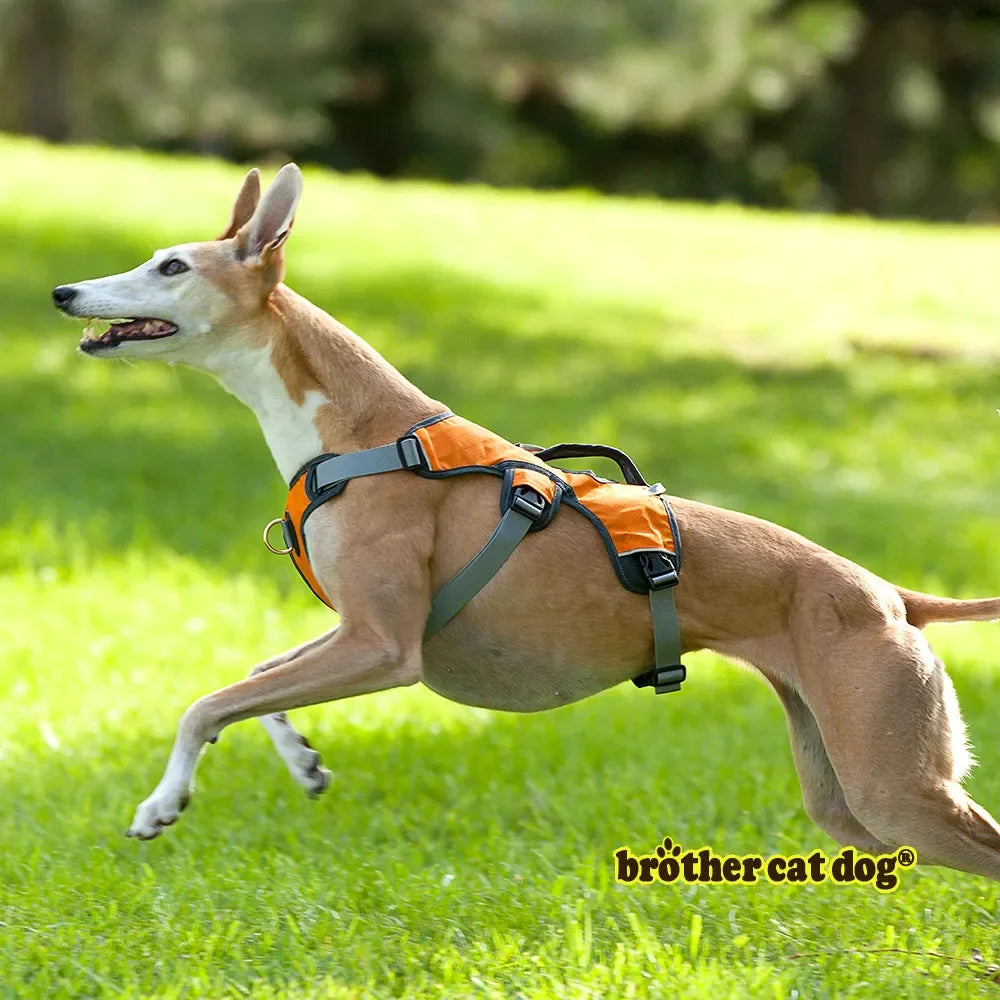 Harnais Gilet de Promenade Renforcé pour Grand Chien - Réfléchissant Rembourré