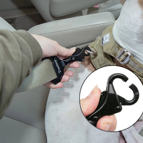Ceinture de Sécurité Voiture Universelle pour Chien