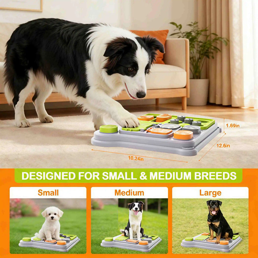 Distributeur de Friandises Interactif pour Chien - Stimulation Mentale