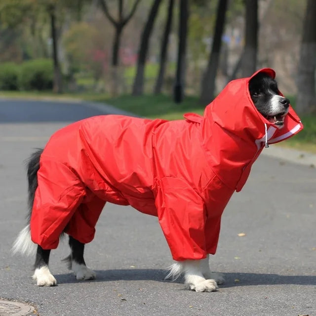 Manteau de Pluie à Capuche pour Chien
